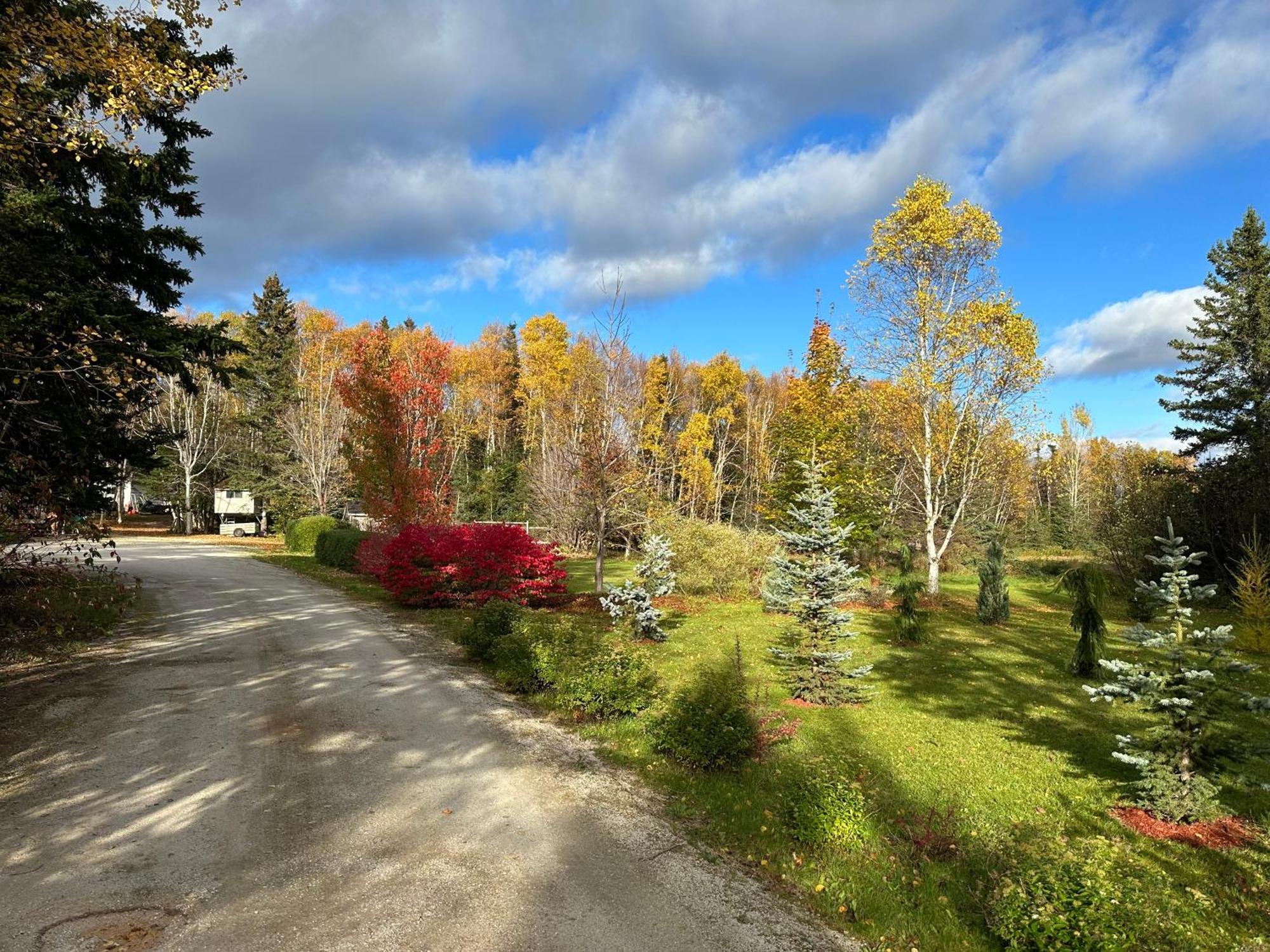 Eden Estate B&B Reidville Exterior foto